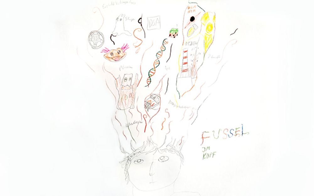 Foto zeigt ein selbst gezeichnetes Bild. Motiv ist das innere eines Kopfes, in dem verschiedene Gegenstände zu sehen sind. Der Titel des Bildes lautet "Fussel im Kopf".