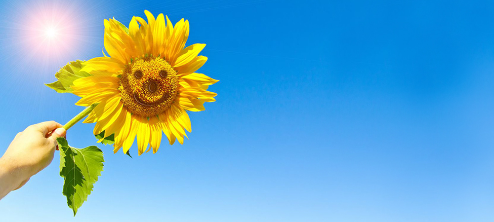Foto zeigt eine Hand, die eine Sonnenblume hält. Auf die Blume ist ein Smiley gezeichnet.